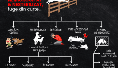 Cred ca e un material bun de dat mai departe. Simplu si concis.