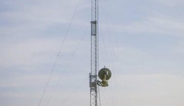 Porque não se usa as COWS