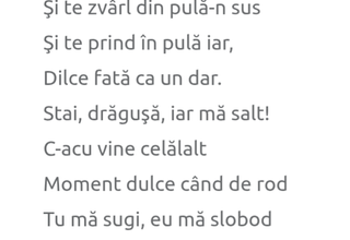 Ghiciți poetul