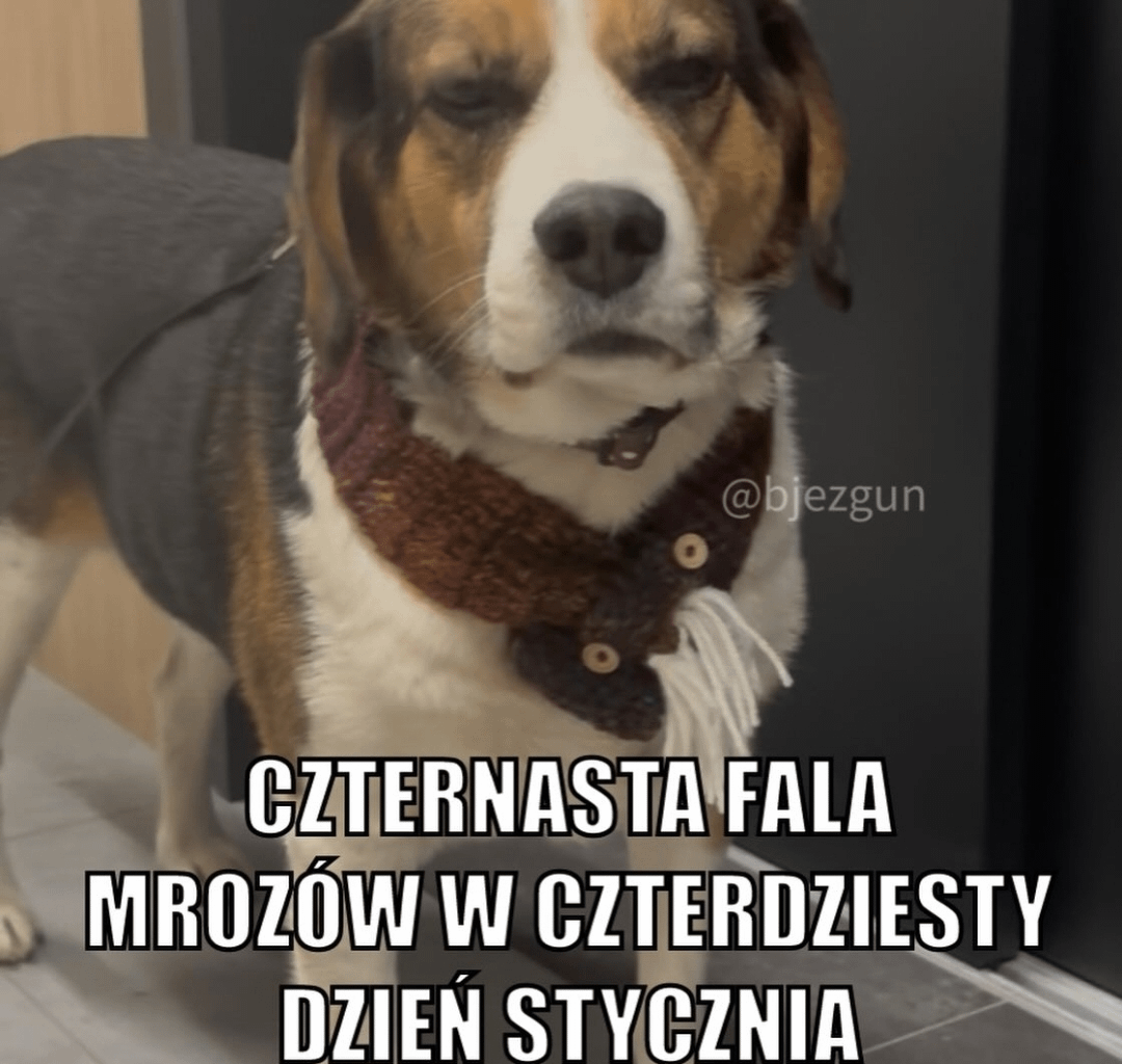 zima
