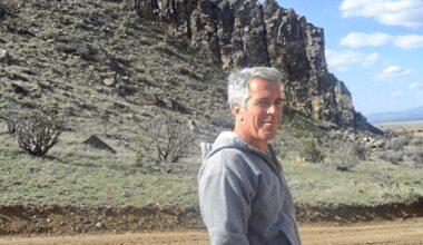 Geldflüsse, Jobs versprochen: Ein Wiener Thinktank als Strang der Causa Epstein