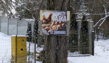 Poland Expects Rapid Economic Growth as Polish Farmers Embrace AI