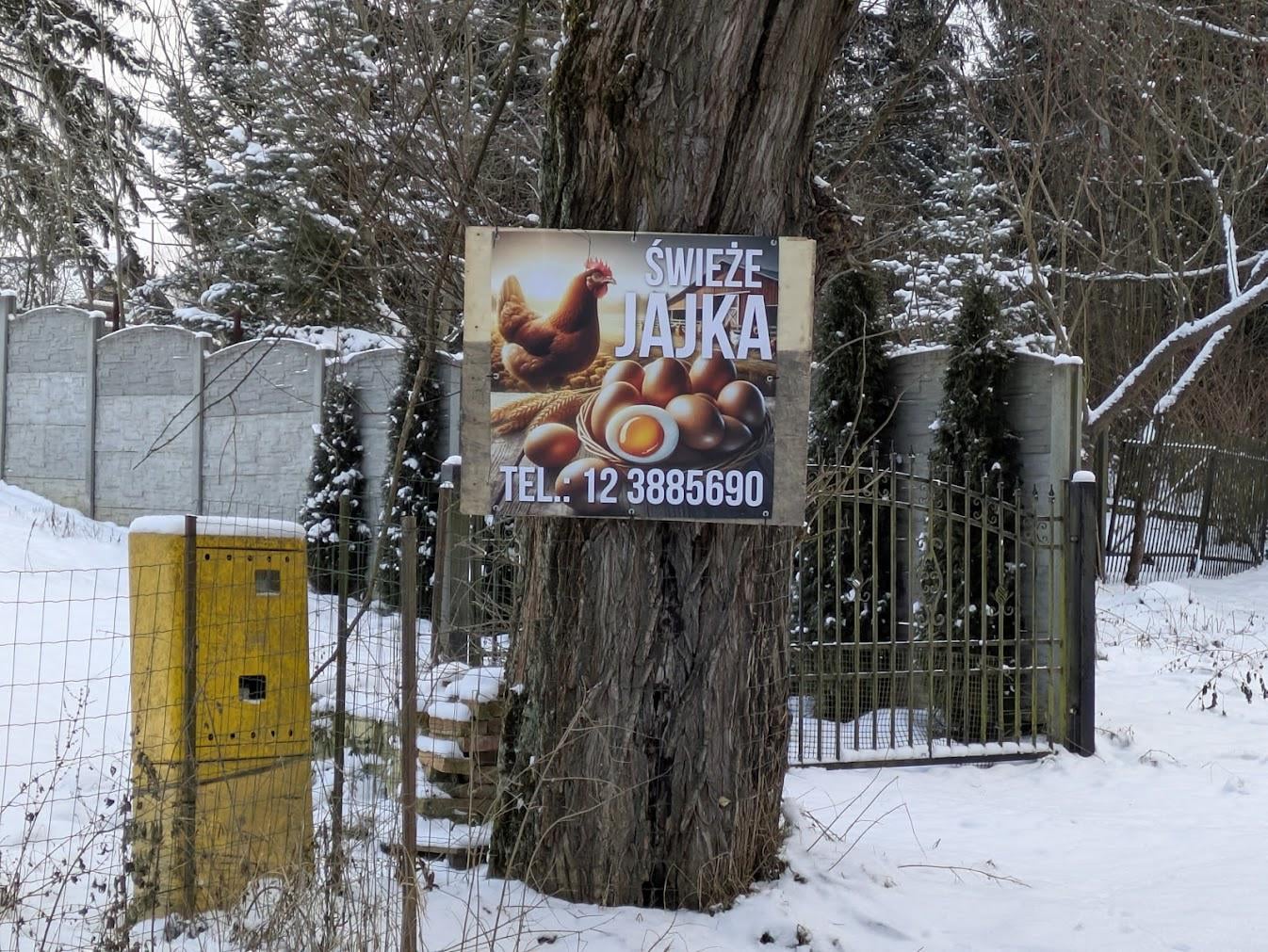 Poland Expects Rapid Economic Growth as Polish Farmers Embrace AI