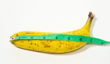 Forskere spurte 800 mennesker om penisstørrelse: Svaret er ikke til å ta feil av.