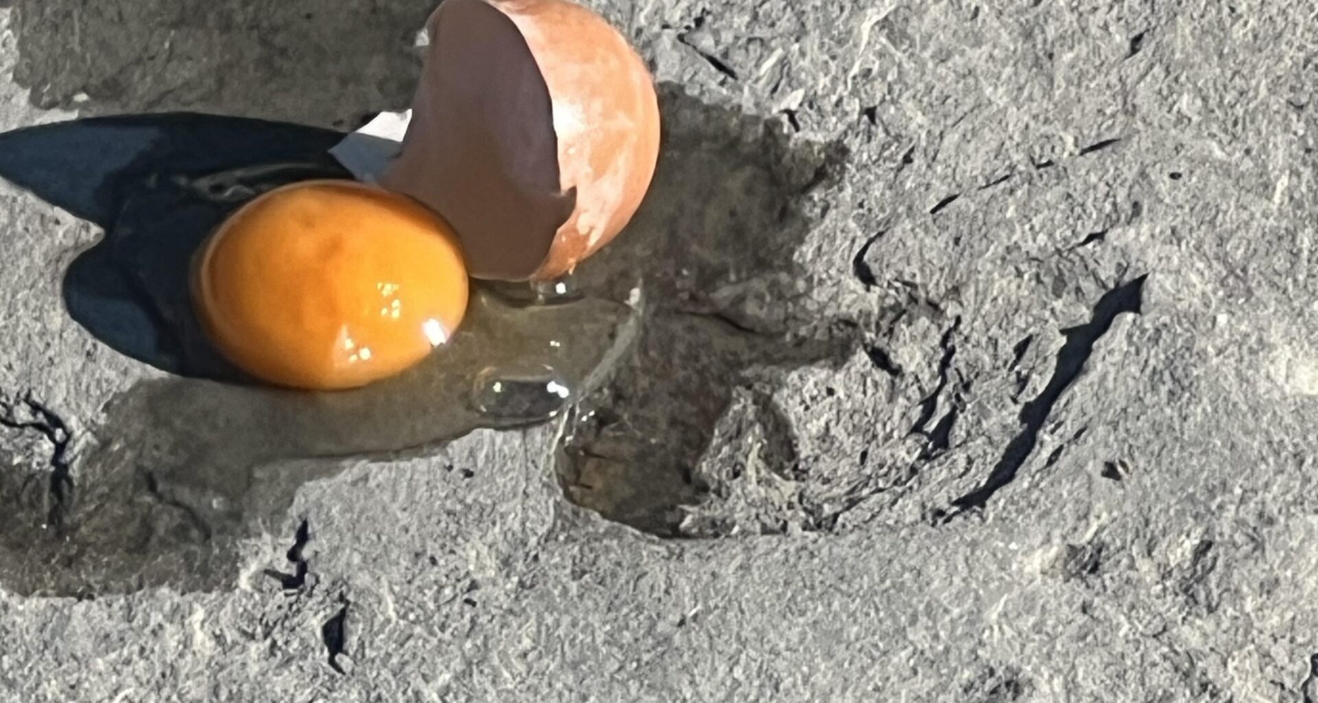 Jajce na carinskem pomolu v Izoli