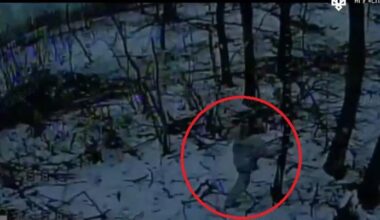 Spartan and Birds of Magyar Eliminate Four Russian Platoons Near Pokrovsk