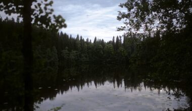 Some beautiful pics and memories I had in a few weeks-trip to Kuopio in summer 2022... missing this lovely, silently beautiful and peaceful country