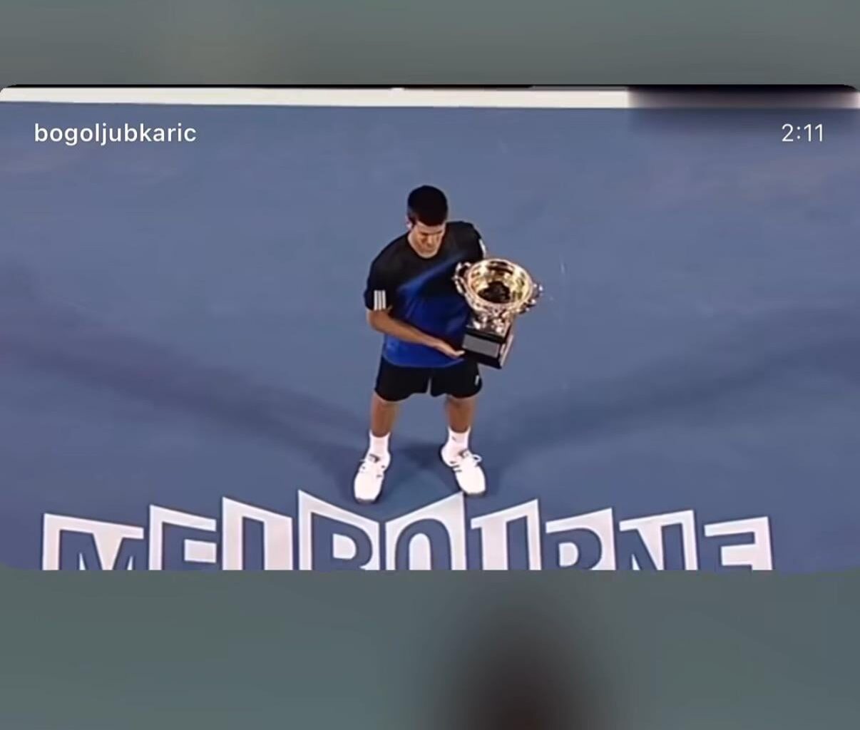 Bogoljub Karić i Ðoković