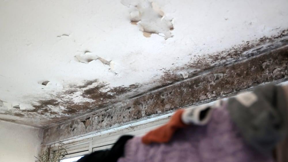 Mal-logement : 1,1 million de personnes sans logement personnel, "année noire" en 2025 selon un rapport