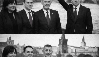 Sestavování vlády