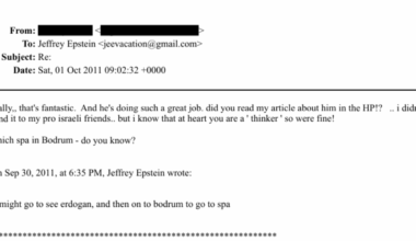 Jeffrey Epstein Dosyaları - Epstein'in Erdoğan ile Görüşmeye ve Ardından Spa İçin Bodrum'a Gidebileceğini Söylemesi