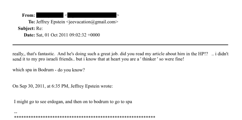 Jeffrey Epstein Dosyaları - Epstein'in Erdoğan ile Görüşmeye ve Ardından Spa İçin Bodrum'a Gidebileceğini Söylemesi