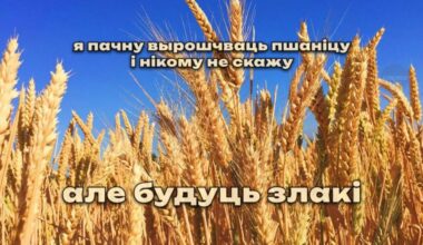 Смешняўкі па-беларуску