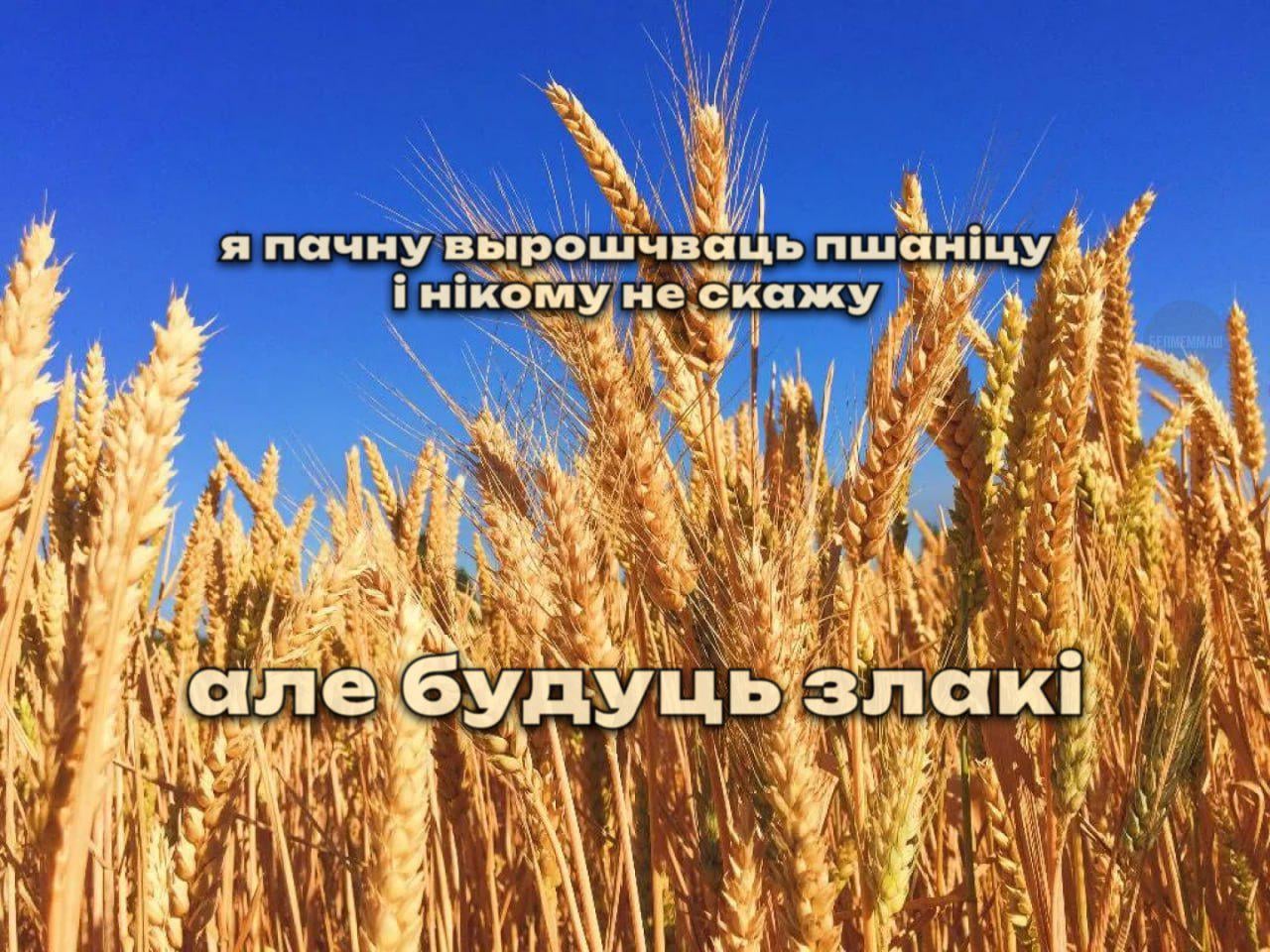 Смешняўкі па-беларуску