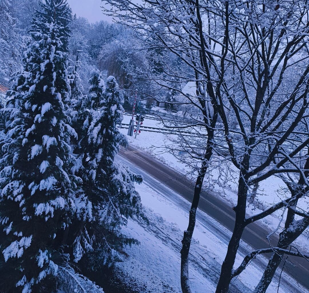 Which one is better according to Reddit?