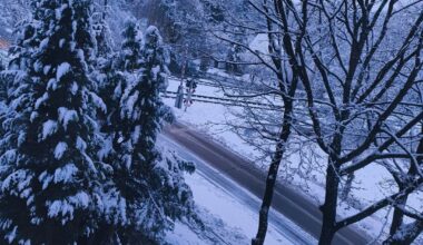 Which one is better according to Reddit?