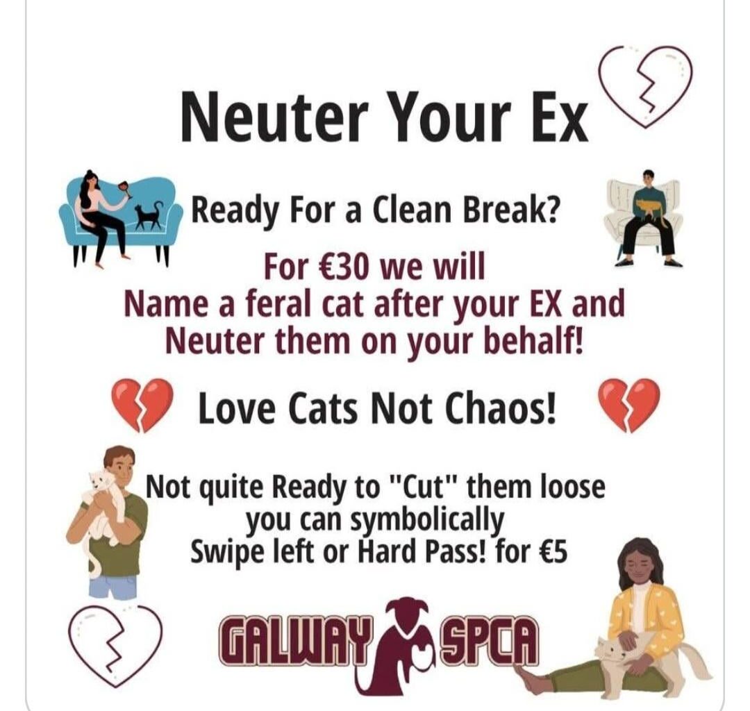 Galway SPCA valentines marketing
