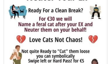 Galway SPCA valentines marketing