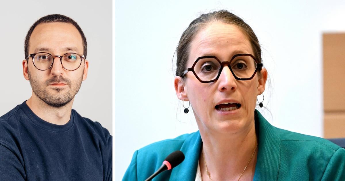 In de Wetstraat is de basisbaan al ingevoerd: parlementslid spelen