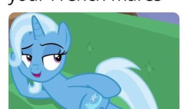 Přestaňte se na chvíli hádat kdo je lib a kdo je dezolát, a raději mi řekněte jaký je váš oblíbený poník