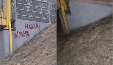 Vilniuje provokacijas rengiantį paauglį sustabdė šaulys