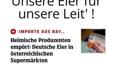 Fremdeier!