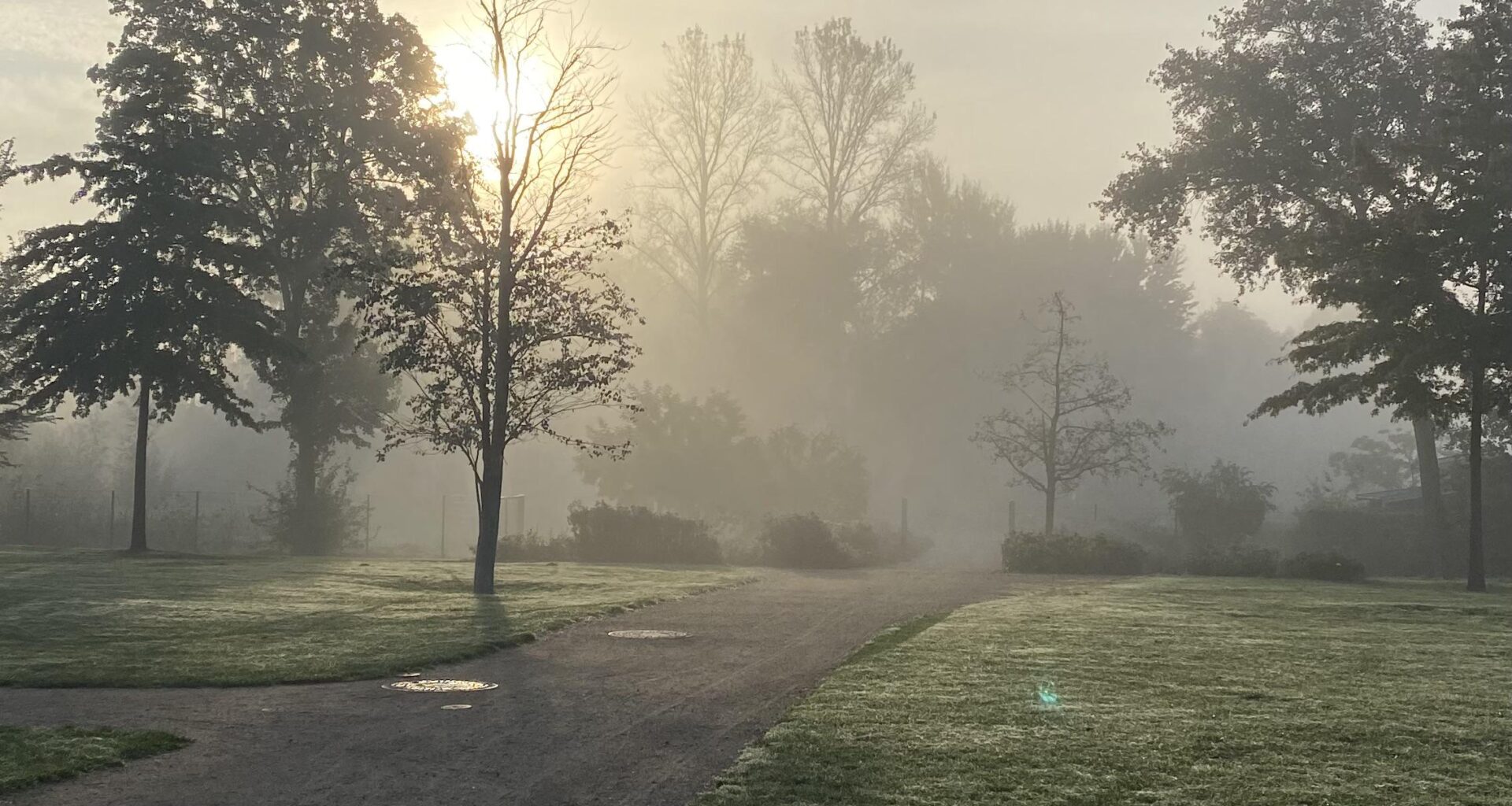 Morning vibes at hamburg