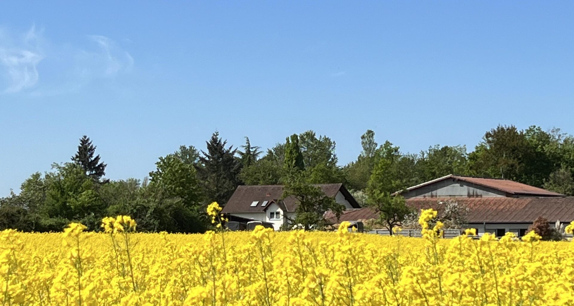 It’s springtime somewhere (Hessen)