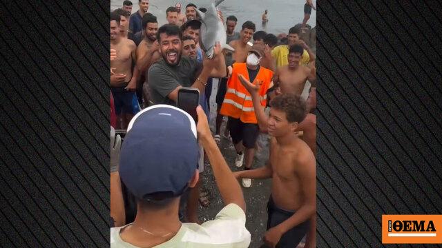 Οργή στη Θέουτα: Μετανάστες κατηγορούνται ότι χτύπησαν μέχρι θανάτου μικρό δελφίνι, δείτε τα βίντεο