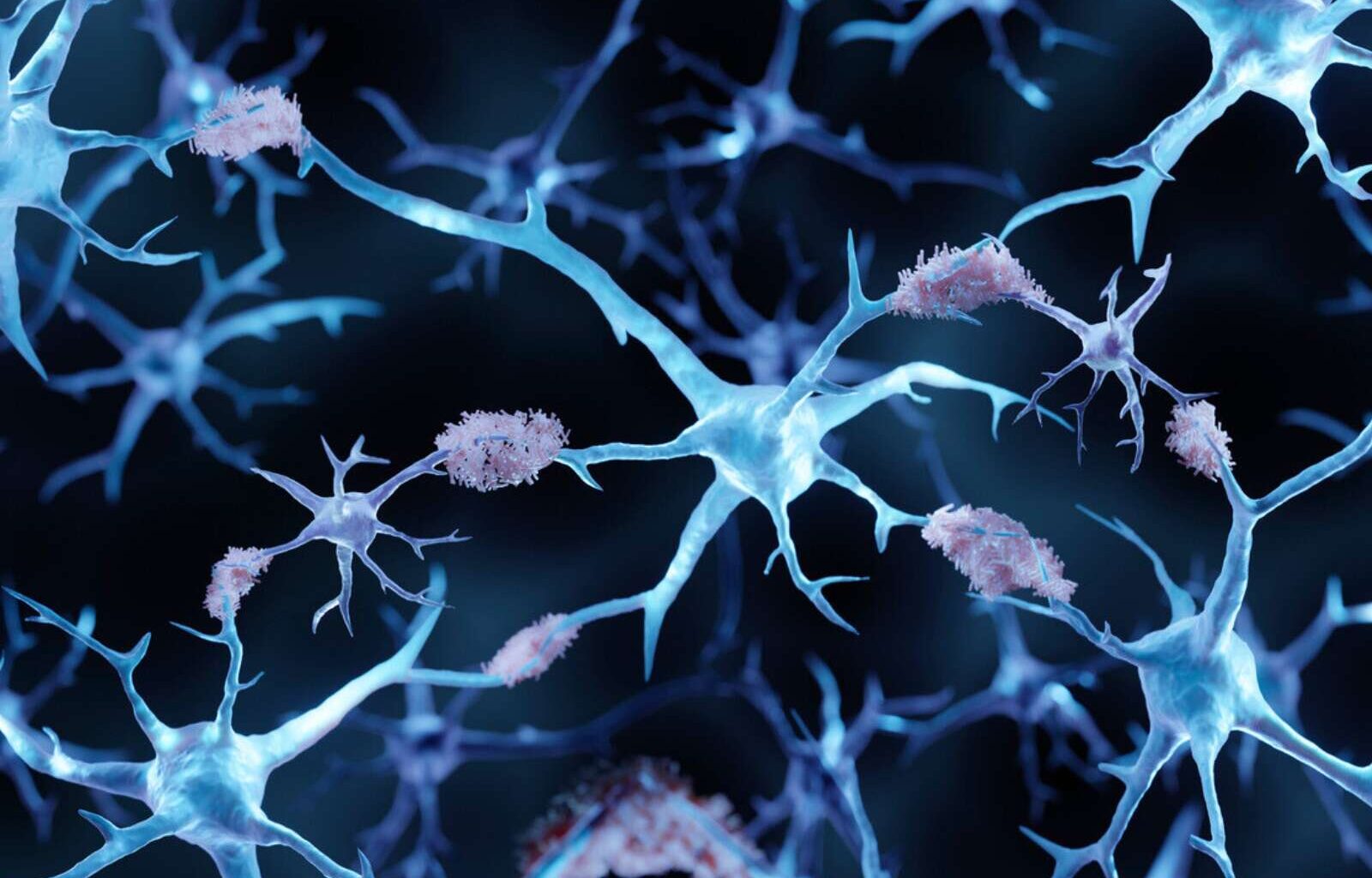 le rôle essentiel du sommeil profond, d’après les chercheurs