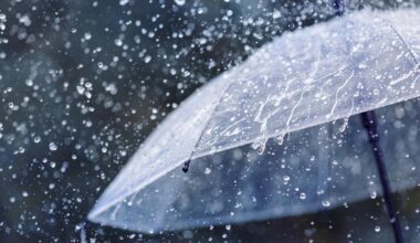 la tempête Olivier va toucher certaines régions de France samedi et dimanche