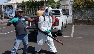 l’épidémie de chikungunya frappe durement La Réunion, au moins six morts