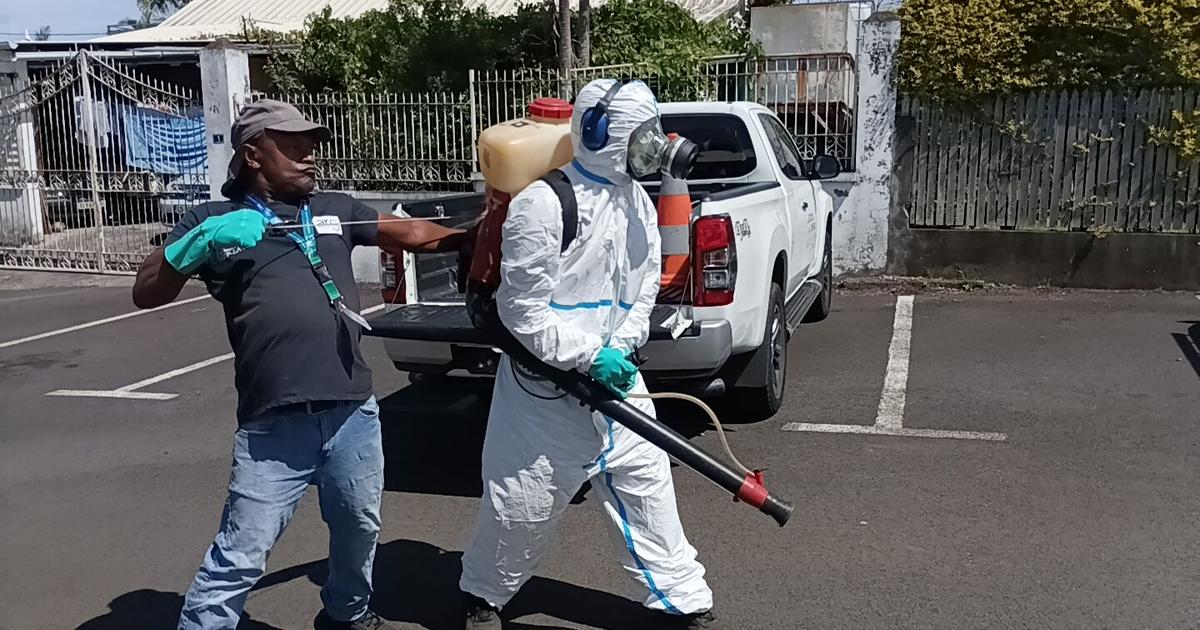 l’épidémie de chikungunya frappe durement La Réunion, au moins six morts