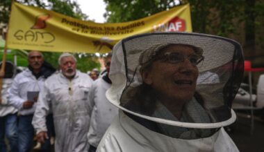 Des apiculteurs manifestent contre les pesticides à Toulouse et Bordeaux