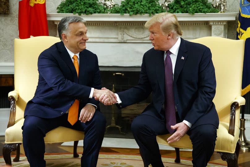 Le Premier ministre hongrois avec le président américain lors de son premier mandat en 2019