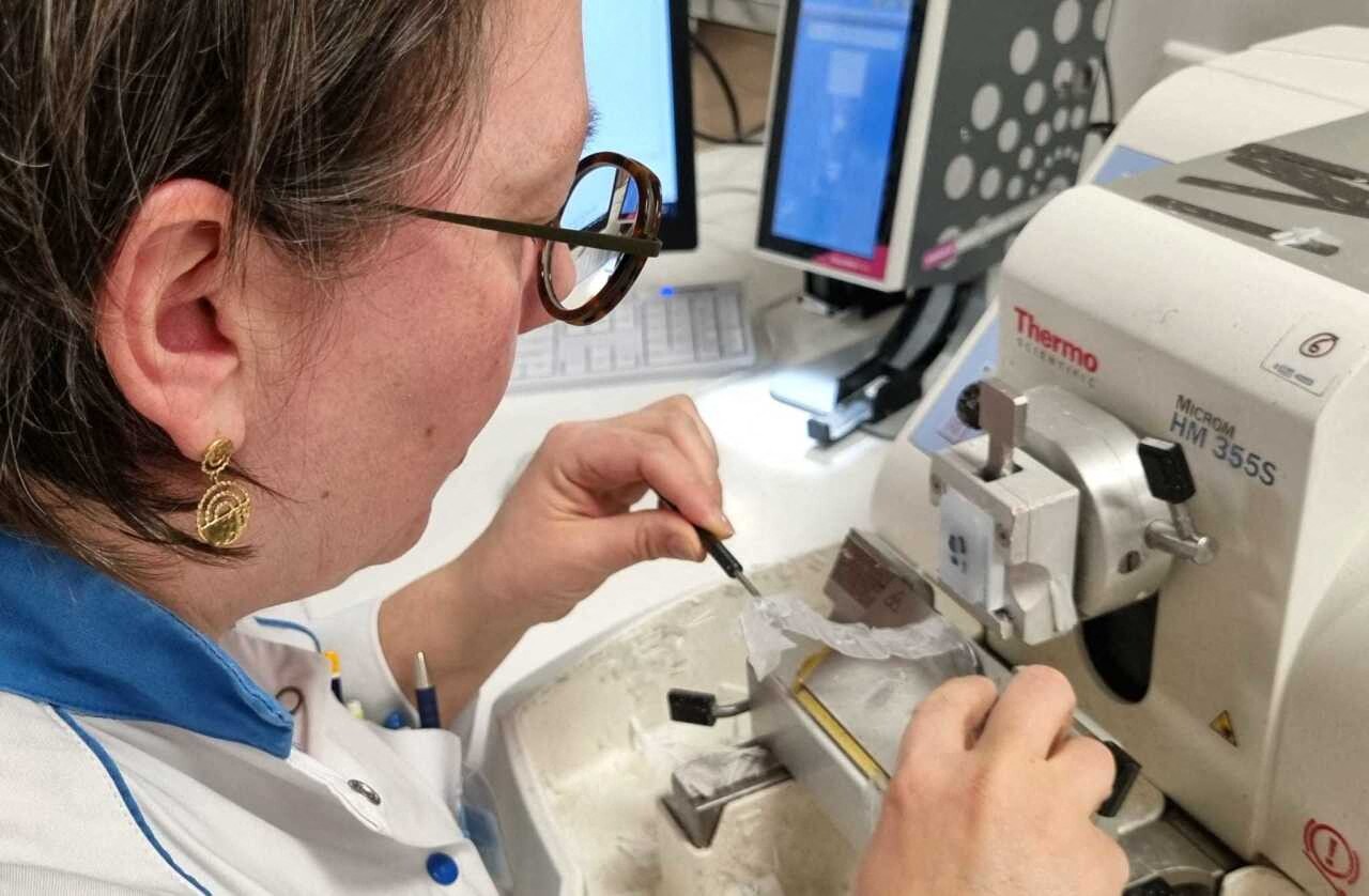 Le Grand Nancy veut devenir une place forte en santé au niveau international : voici comment