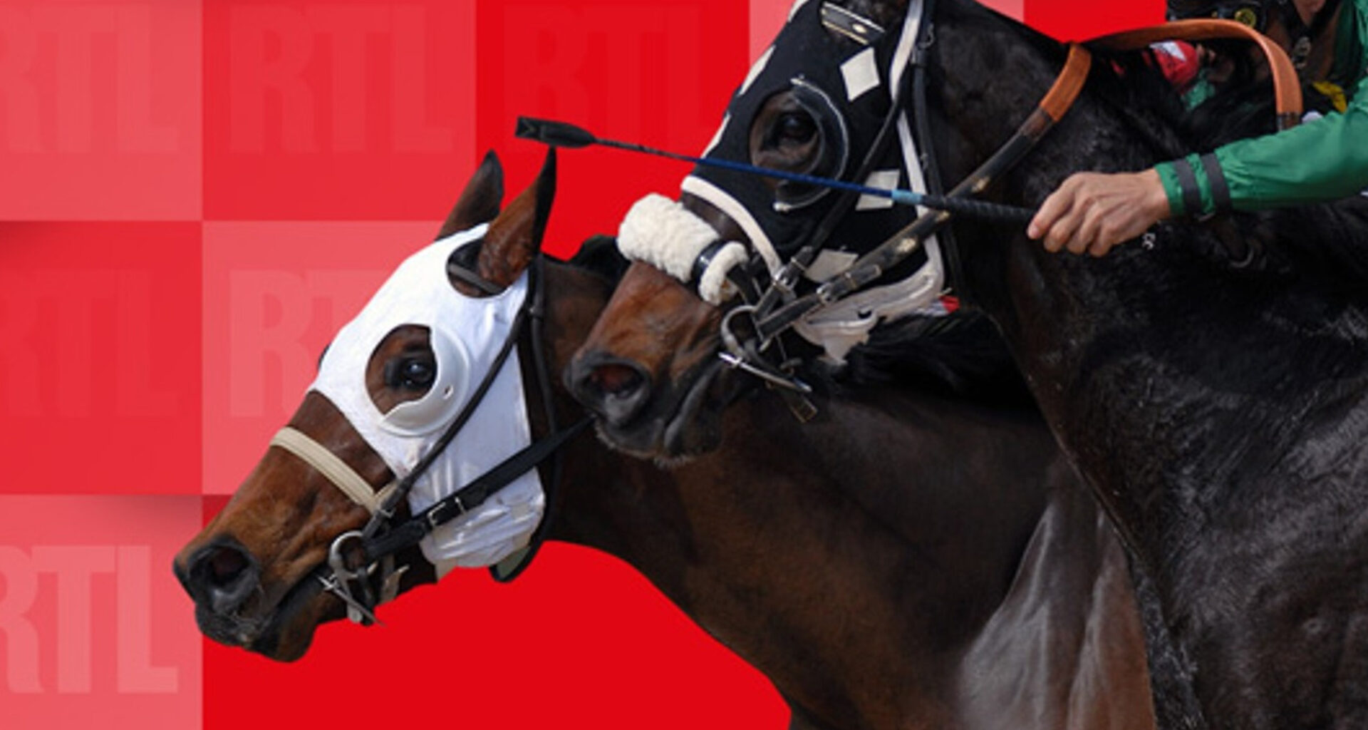Quinté du vendredi 4 avril 2025 en nocturne à Vincennes : les pronostics