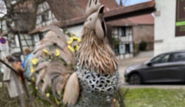 Mittelhausbergen. Le coq parade dans sa basse-cour pour les fêtes pascales