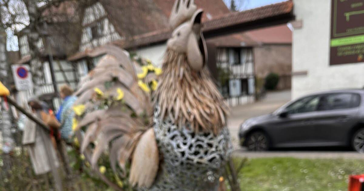Mittelhausbergen. Le coq parade dans sa basse-cour pour les fêtes pascales