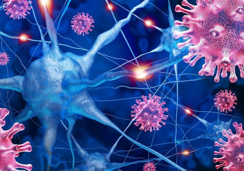 Un dernier flash : la science et le mystère se croisent dans les dernières secondes de la conscience humaine.