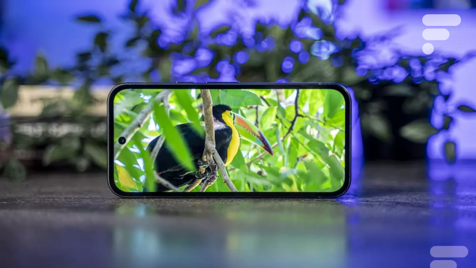 Le Google Pixel 9a se dote d'une version d'Android sécurisée et 100% sans Google