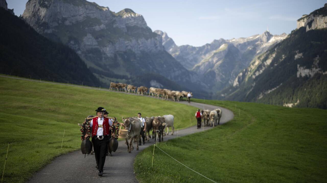 L’agriculture suisse est prise entre le marteau de Donald Trump et l’enclume de l’Union européenne
