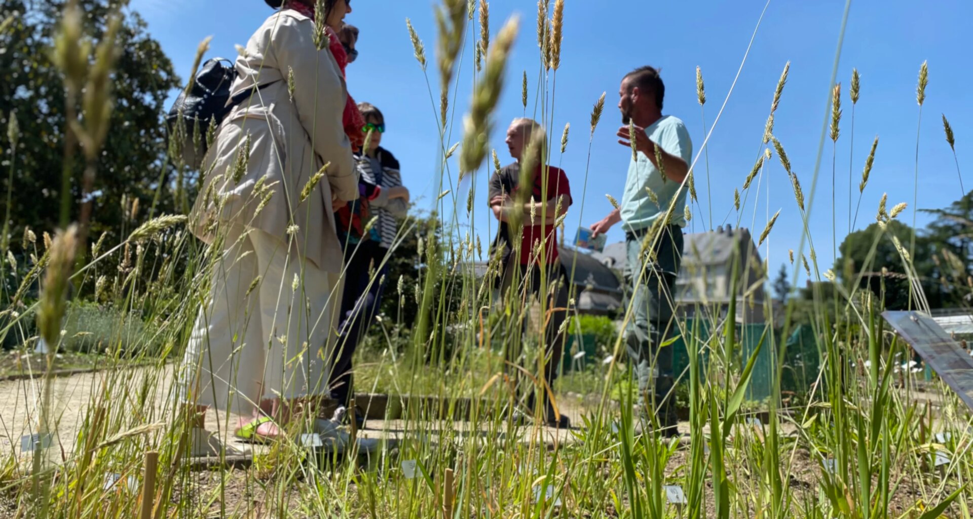 Un nouvel indice pollen pour aider les allergiques dans l'Ouest