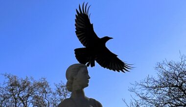 Soleil, orages... Quel temps prévoit Météo France pour Toulouse et l'Occitanie, lundi ?