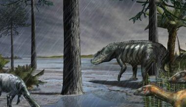 Une extinction de masse à l’origine du règne des dinosaures