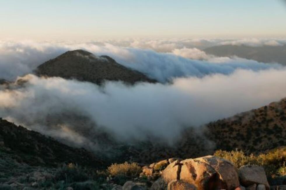 Brouillard sur l'Anti Atlas