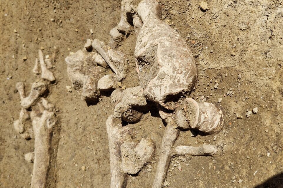 Dans la tombe romaine datant du Ve siècle, un balsamaire en terre cuite a été trouvé. Il s'agit d'un récipient à parfum.