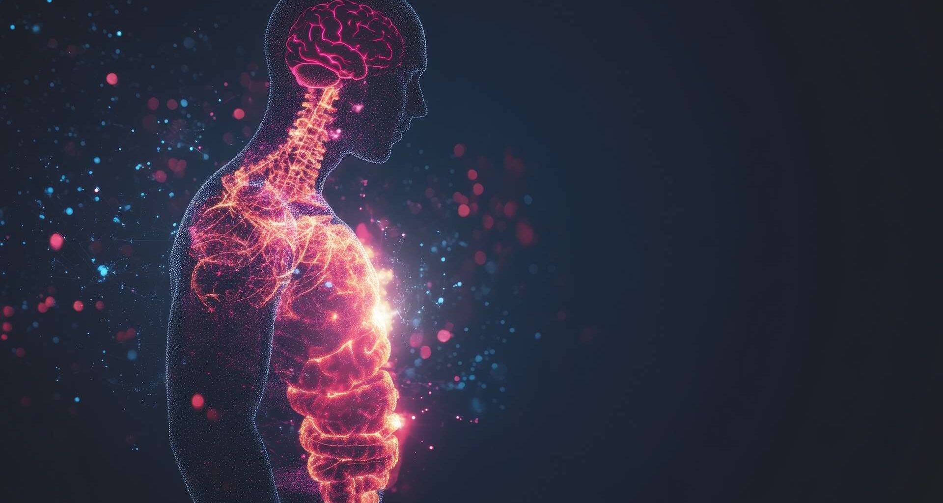 le cerveau modifie la flore intestinale en seulement 2 heures !