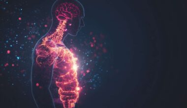 le cerveau modifie la flore intestinale en seulement 2 heures !