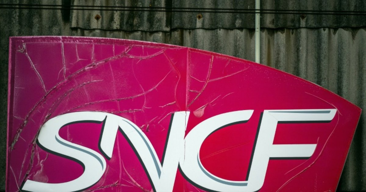 Lignes SNCF "dégradées": deux trains d'usagers "exaspérés" attendus à Paris : Actualités